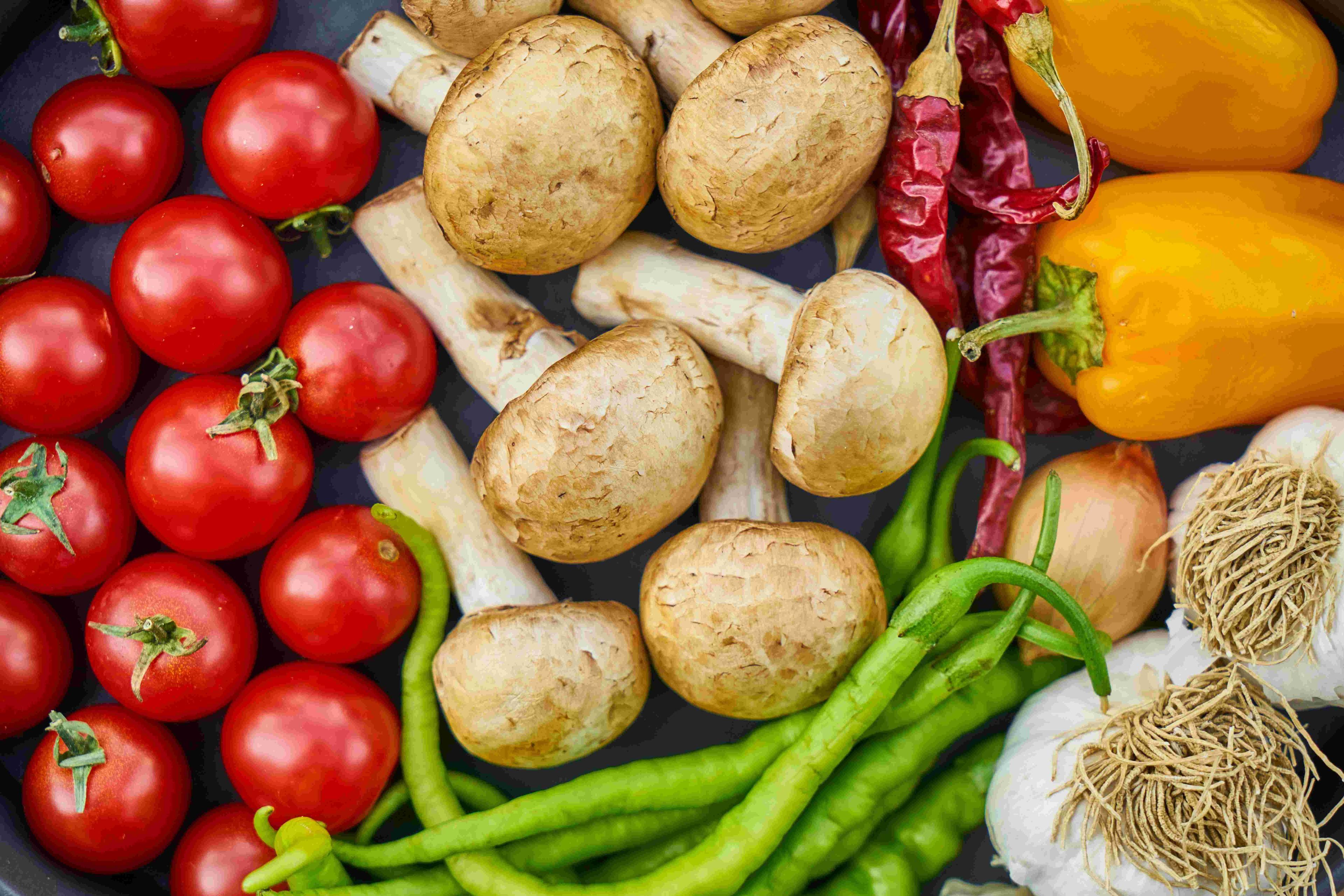 Soluciones en comedores industriales y servicios alimenticios